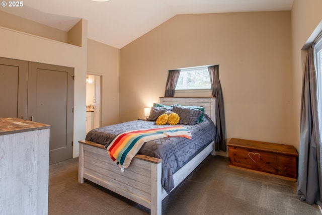 bedroom featuring lofted ceiling and carpet floors