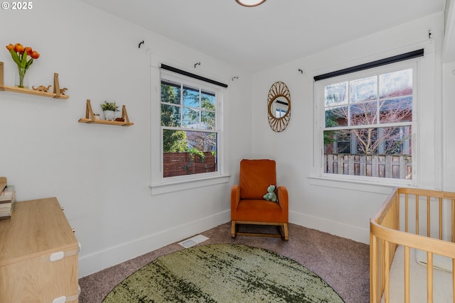 sitting room with carpet floors