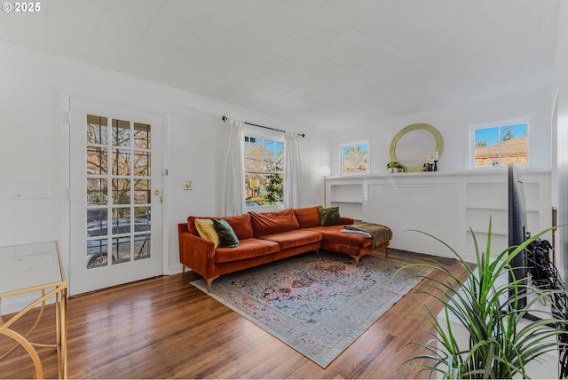 living room with wood-type flooring