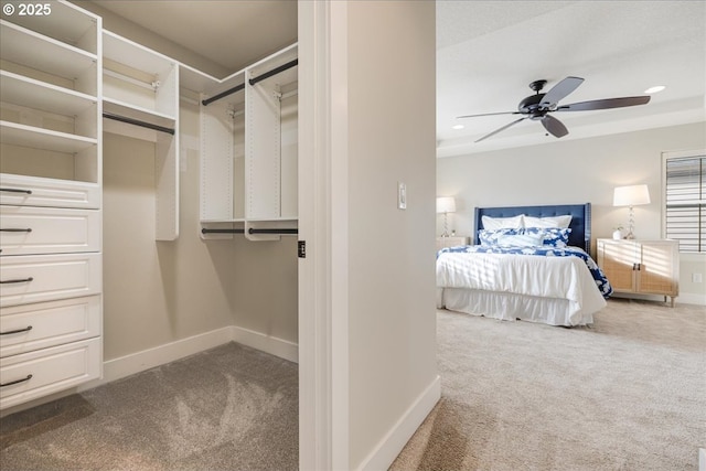 walk in closet with ceiling fan and carpet floors