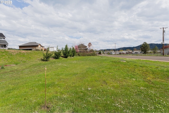 13130 Lookingglass Rd, Winston, OR 97496 - view of yard