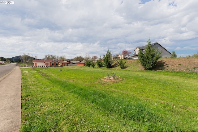 13130 Lookingglass Rd, Winston, OR 97496 - view of yard