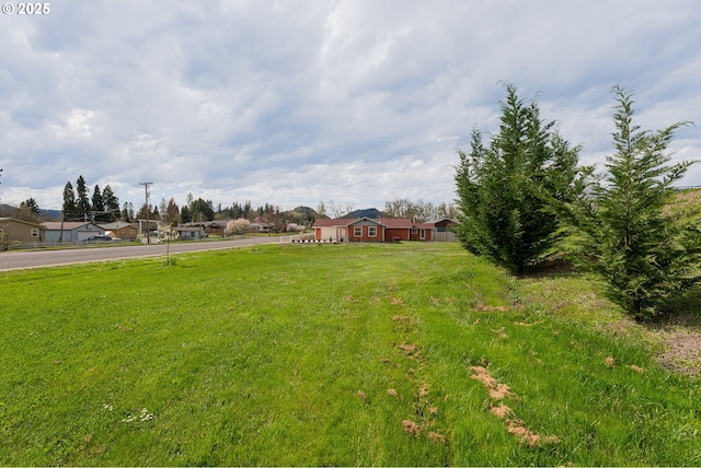 13130 Lookingglass Rd, Winston, OR 97496 - view of yard