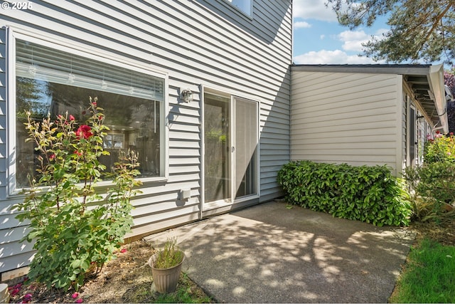 exterior space with a patio area