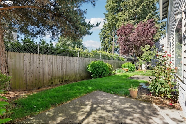 view of yard featuring a patio