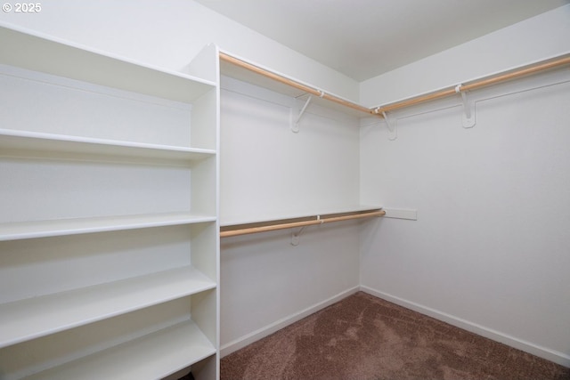 15997 NW Rossetta St, Portland, OR 97229 - spacious closet with carpet floors