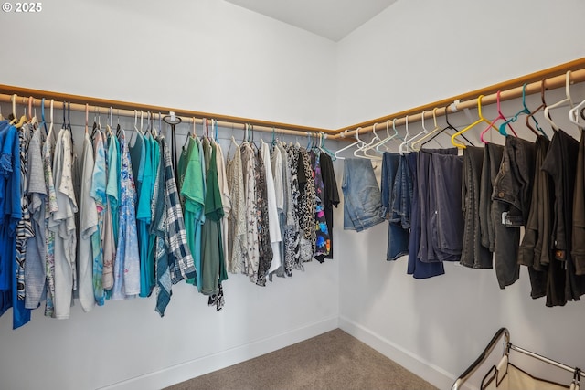 spacious closet with carpet floors