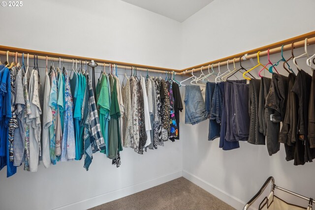 walk in closet with carpet flooring