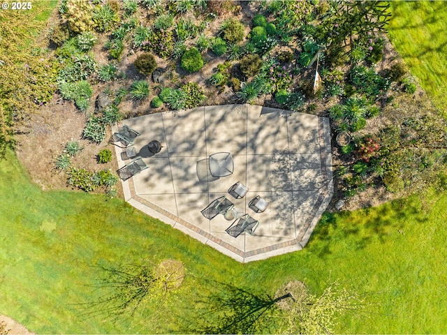 aerial view