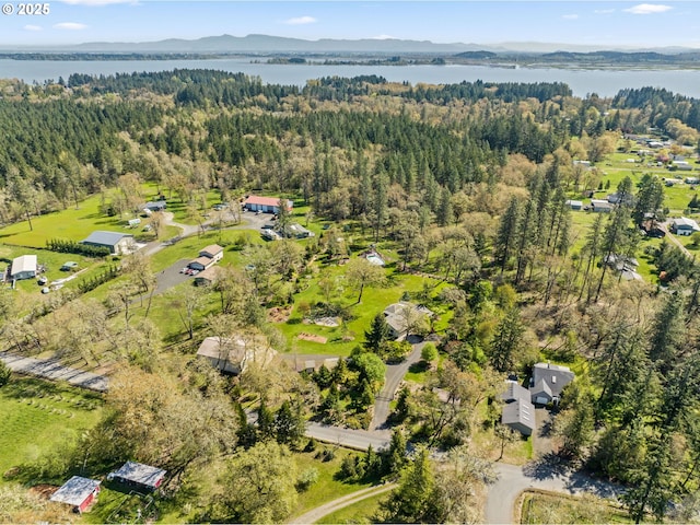 bird's eye view featuring a wooded view and a water and mountain view