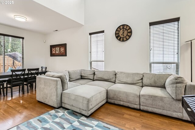 living area with wood finished floors