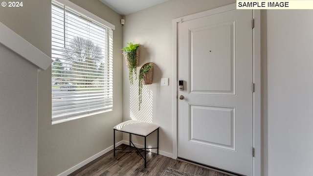 entryway with dark hardwood / wood-style flooring