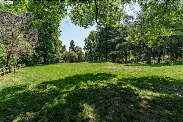 1951 NW Hoyt St, Portland, OR 97209 - view of yard