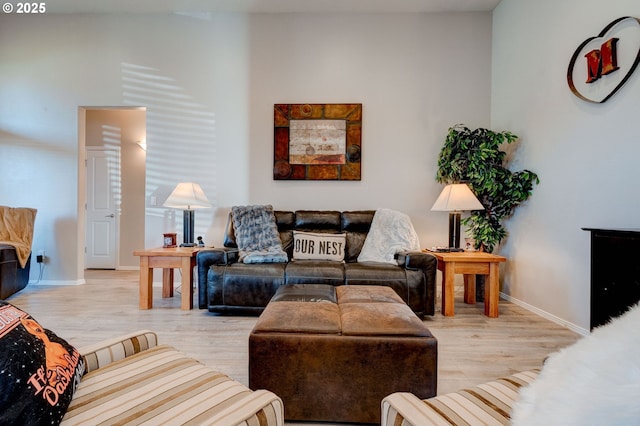 living room featuring light hardwood / wood-style flooring