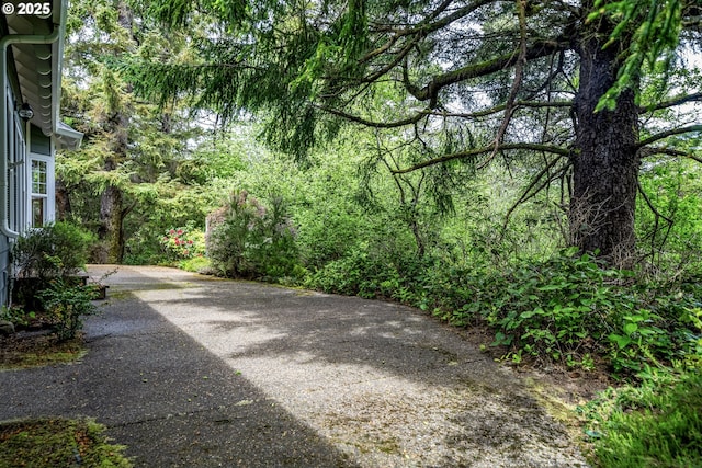 110 SW 61st St, South Beach, OR 97366 - view of yard with driveway and a view of trees