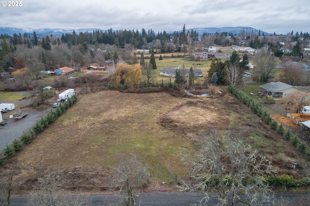 Listing photo 3 for Douglas Fir Dr, Hood River OR 97031