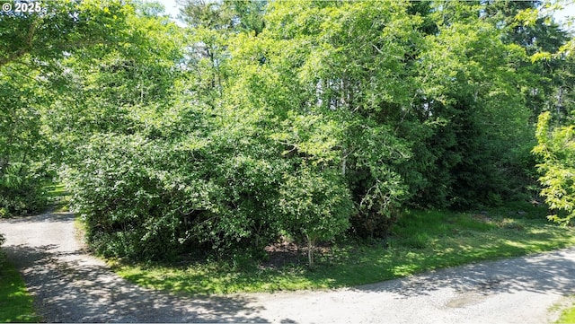 Y Ln Unit 11-12, Ocean Park, WA 98640