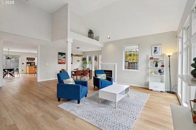 living room with high vaulted ceiling and light hardwood / wood-style flooring