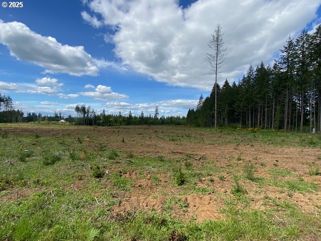 286 Monroe Rd, Chehalis, WA 98532
