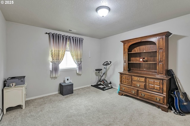 3963 NW 148th Pl, Portland, OR 97229 - workout room with a textured ceiling, carpet, and baseboards