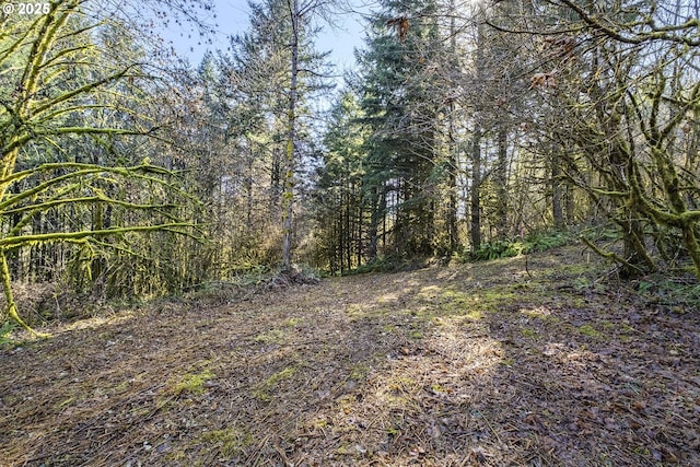 view of nature featuring a forest view