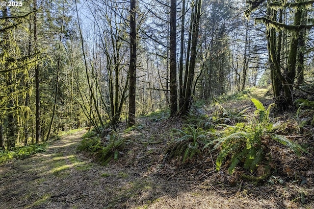 view of local wilderness with a forest view