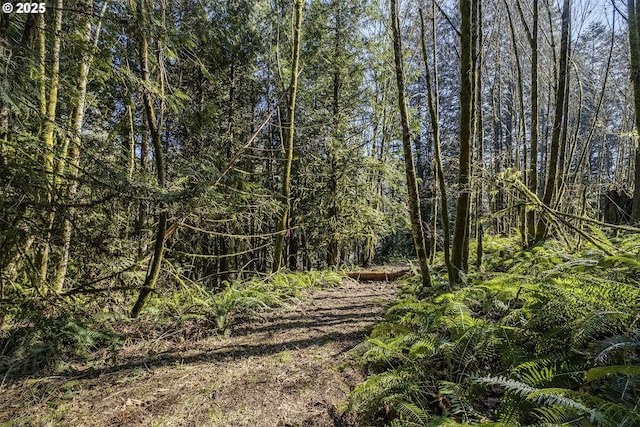 view of landscape featuring a wooded view