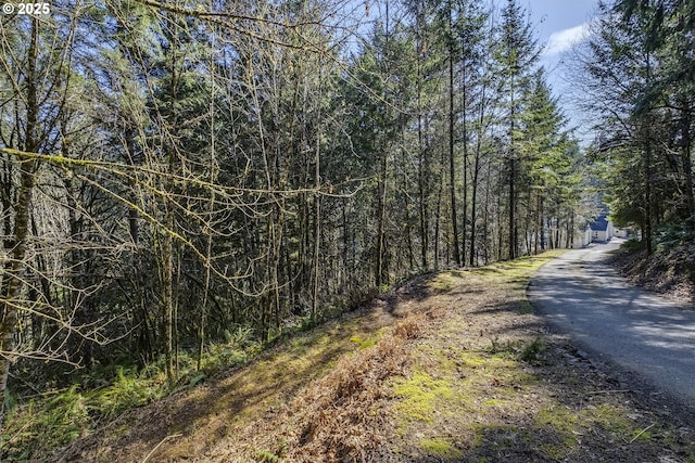 view of street with a forest view