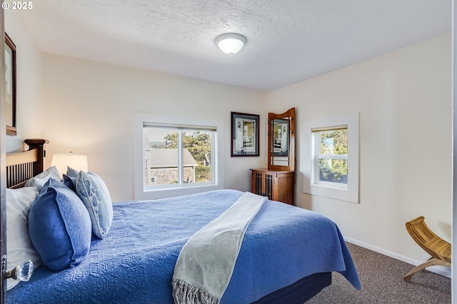 bedroom featuring multiple windows, carpet, and a textured ceiling