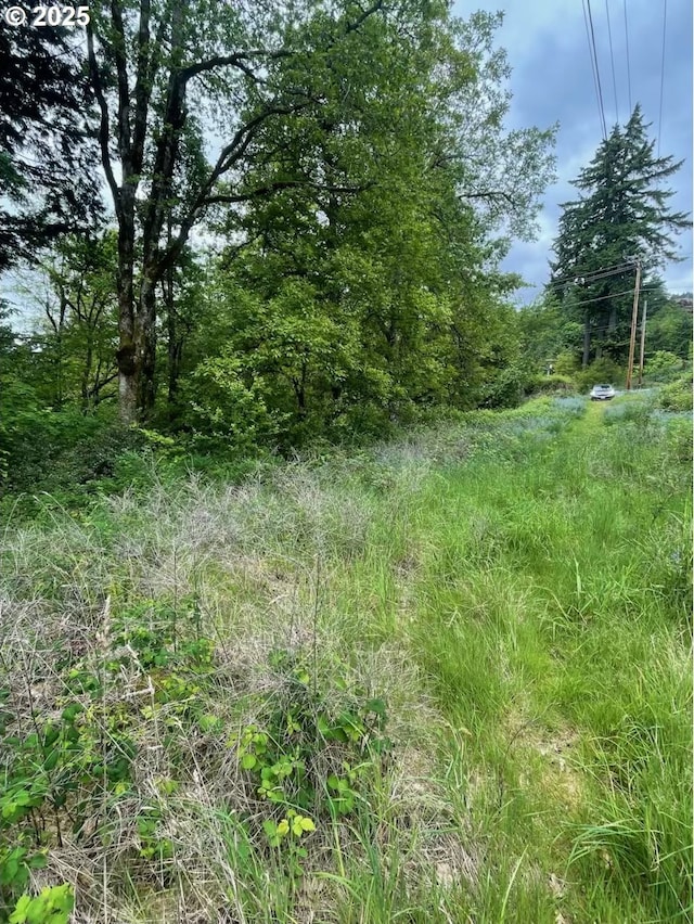 Carson Depot Rd, Carson, WA 98610