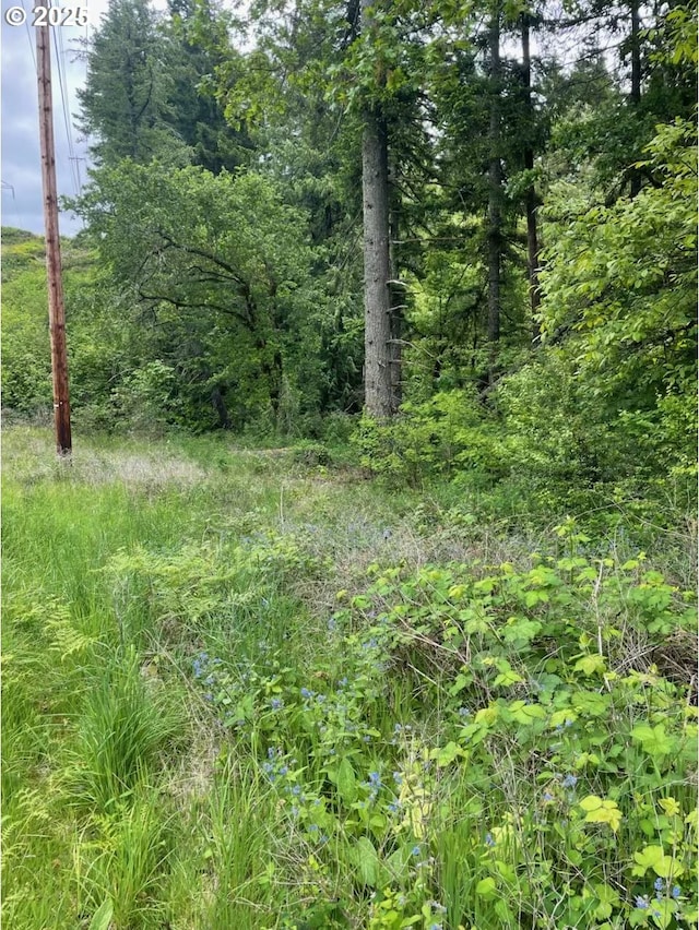 Carson Depot Rd, Carson, WA 98610