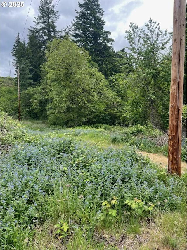 Carson Depot Rd, Carson, WA 98610