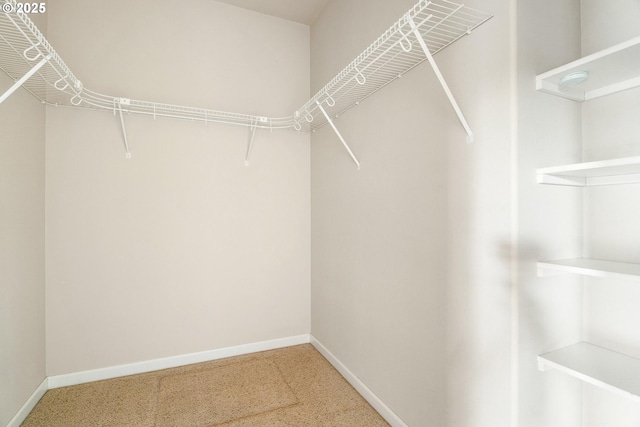 spacious closet featuring carpet flooring