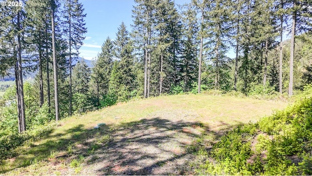 Alder Branch Rd, Springfield, OR 97478