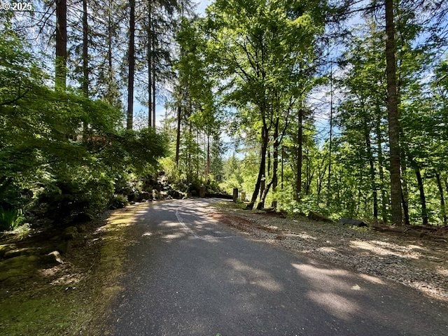 Alder Branch Rd, Springfield, OR 97478
