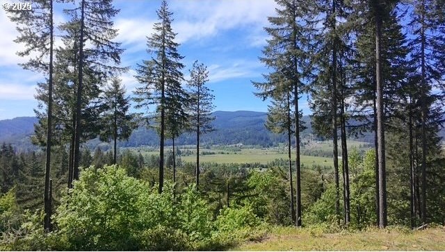 Alder Branch Rd, Springfield, OR 97478