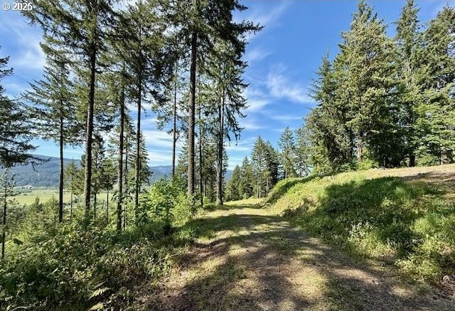 Alder Branch Rd, Springfield, OR 97478