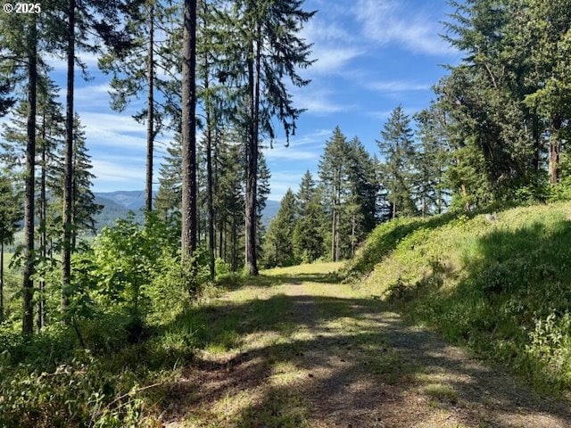 Alder Branch Rd, Springfield, OR 97478