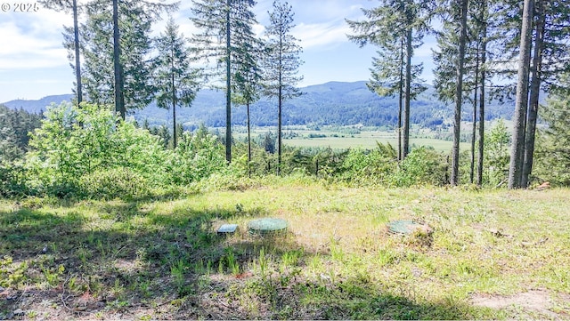 Alder Branch Rd, Springfield, OR 97478