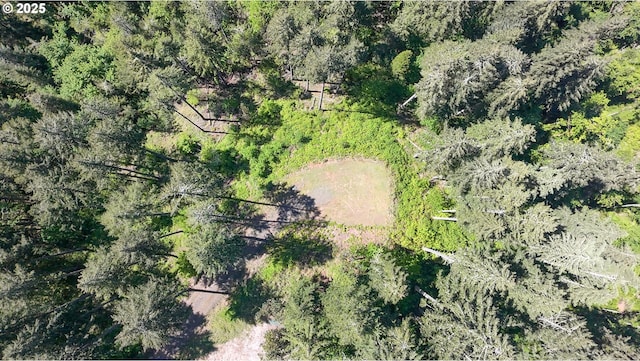 Alder Branch Rd, Springfield, OR 97478