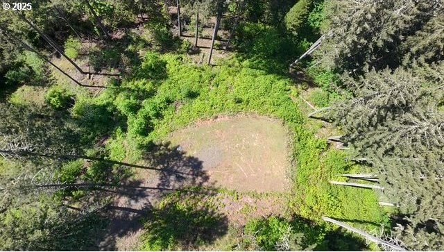 Alder Branch Rd, Springfield, OR 97478