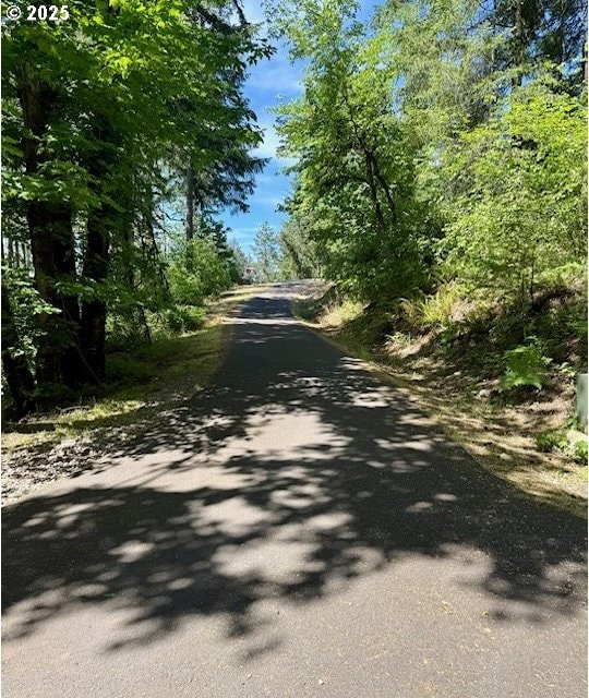 Alder Branch Rd, Springfield, OR 97478