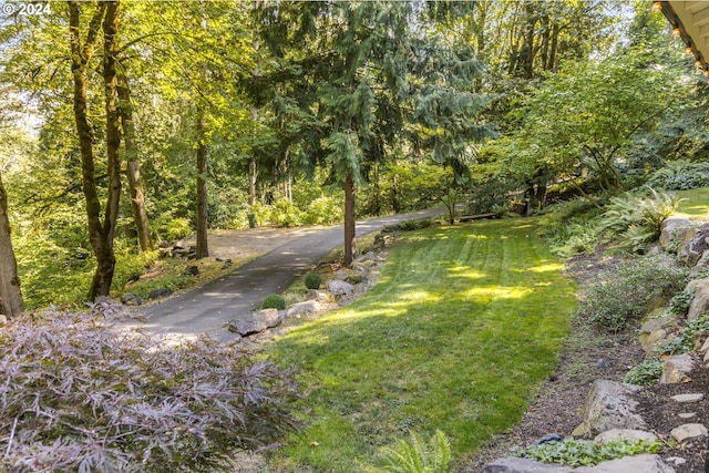 view of street featuring a view of trees
