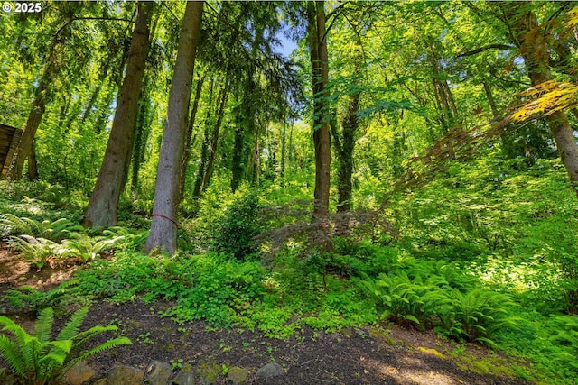 610 Atwater Rd, Lake Oswego, OR 97034 - view of wooded area