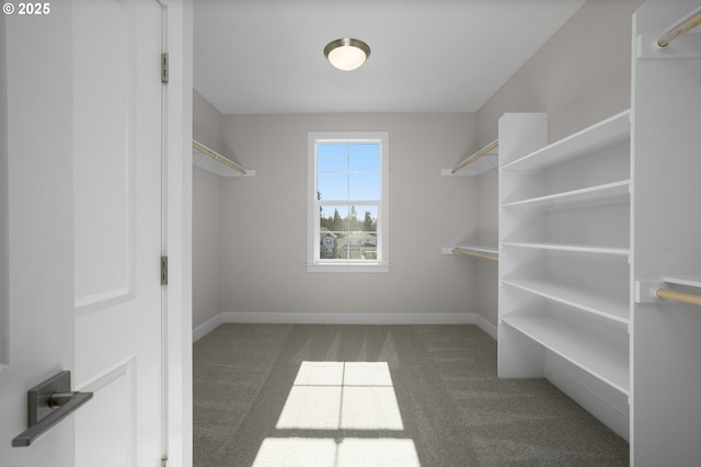 spacious closet featuring dark colored carpet