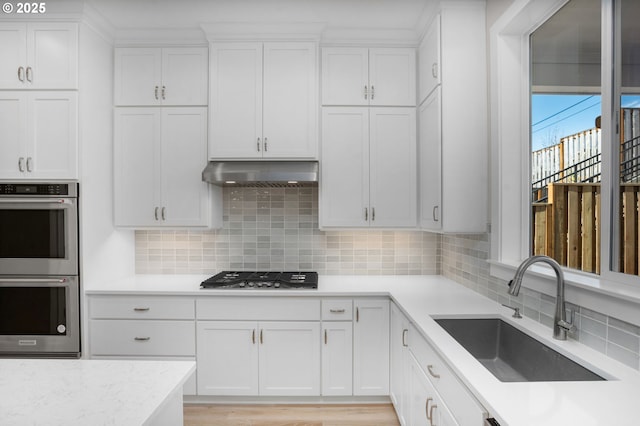 kitchen with appliances with stainless steel finishes, range hood, tasteful backsplash, sink, and white cabinets