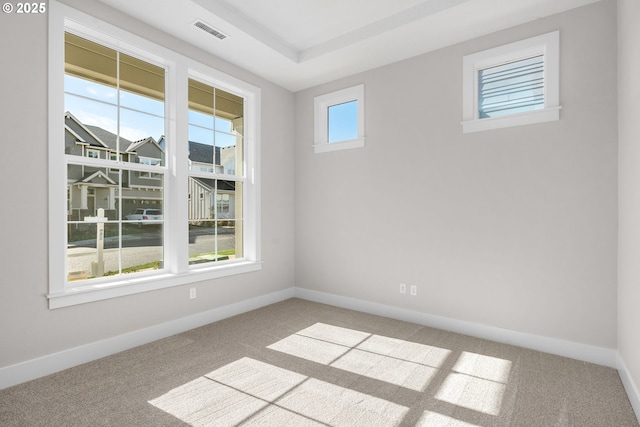 carpeted spare room featuring a healthy amount of sunlight