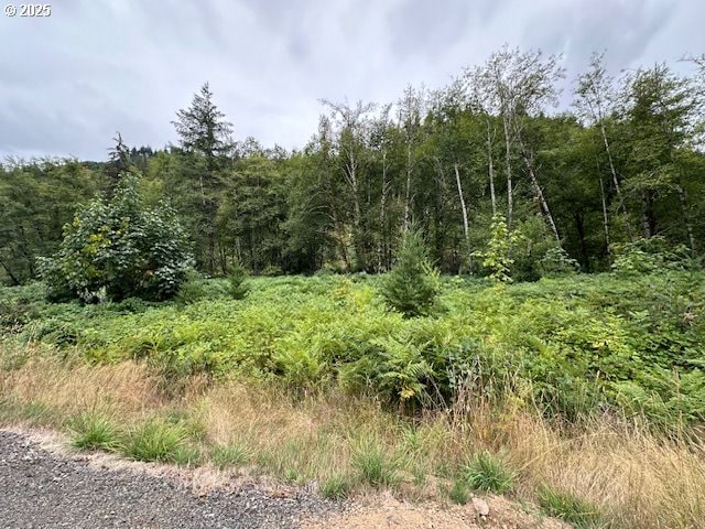 0 N Dubois Rd, Ariel, WA 98603