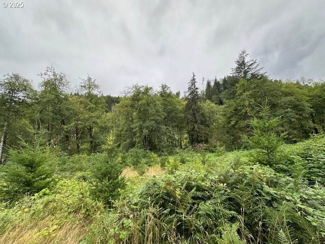 0 N Dubois Rd, Ariel, WA 98603
