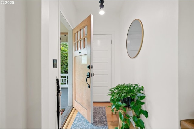 entrance foyer featuring light wood-type flooring